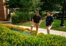Common Landscape Services That You Will Need Landscape Services