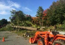 Tree Care Done Right Tree Care Done Right