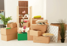 The Importance of Professional Cleaning During a Move-Out and Move-In Cleaning