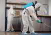DIY Pest Control Mistakes That Can Lead to Treatment Failure in Indianapolis Pest Control