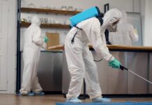 DIY Pest Control Mistakes That Can Lead to Treatment Failure in Indianapolis Pest Control